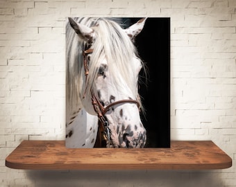 Horse Photograph - Fine Art Print - Color Photography - Equine Wall Art - Wall Decor -  Horse Pictures - Farmhouse Decor - Horses
