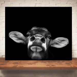 Brown Swiss Cow Photograph - Fine Art Print - Black White Photography - Wall Art Decor -  Farm Pictures - Farmhouse Decor - Cows - Country