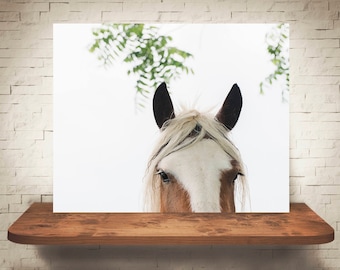 Horse Photograph - Fine Art Print - Color Photography - Equine Wall Art - Wall Decor -  Horse Pictures - Farmhouse Decor - Horses