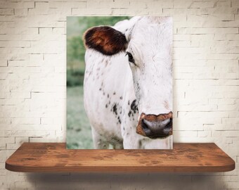 Fotografía de vaca - Impresión de bellas artes - Fotografía en color - Arte mural de granja - Decoración de pared - Imágenes de vacas - Decoración de granja - Rústico