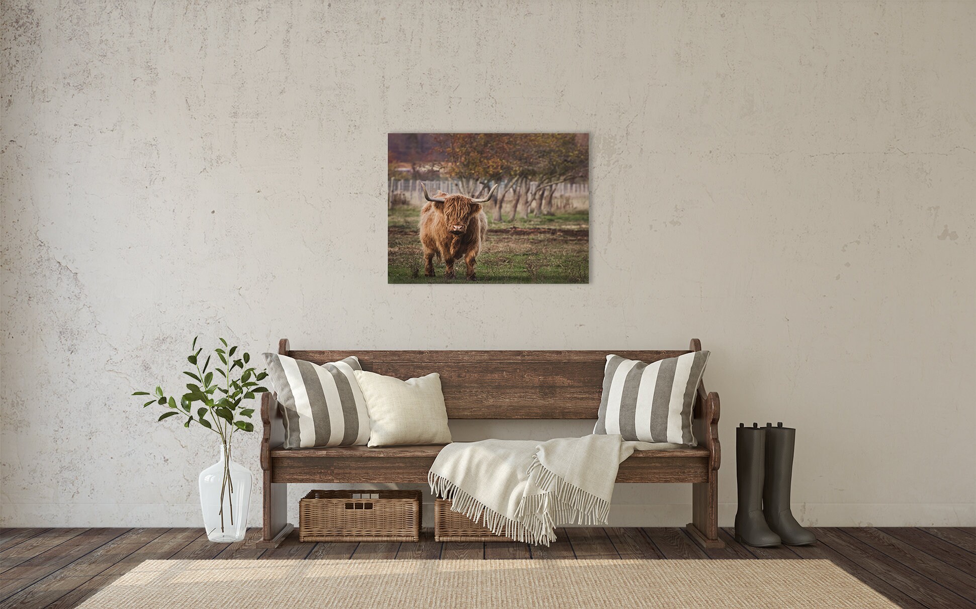 Scottish Highland Cattle Photograph Fine Art Print Color - Etsy Canada