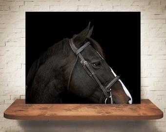 Horse Photograph - Fine Art Print - Color Photography - Equine Wall Art - Wall Decor -  Horse Pictures - Farmhouse Decor - Horses