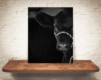 Cow Photograph - Fine Art Print - Black White Photography - Wall Art Decor - Farm Pictures - Farmhouse Decor - Cows - Country