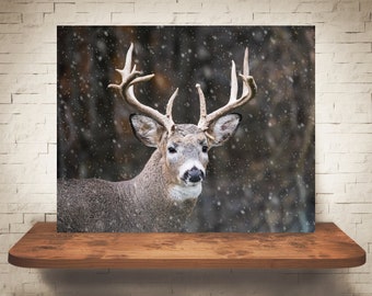 Deer Buck Photograph - Color Photo - Fine Art Print  - Animal Pictures - Wall Art - Nature Prints - Country Decor - Winter - Snow