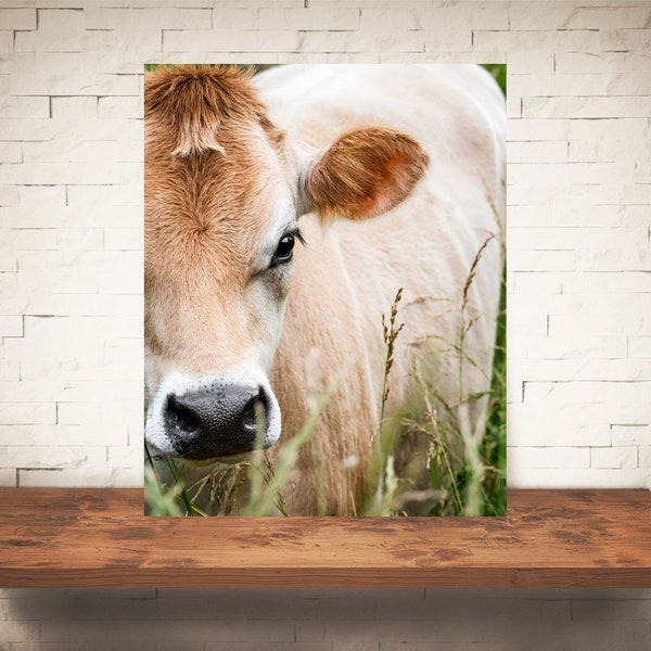 Jersey Cow Photograph - Fine Art Print - Color B&W Photography - Farm Wall Art - Wall Decor - Pictures Cows - Farmhouse Decor - Rustic
