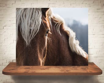 Horse Photograph - Fine Art Print - Color Photography - Equine Wall Art - Wall Decor -  Horse Pictures - Farmhouse Decor - Horses
