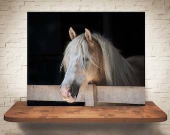 Horse Photograph - Fine Art Print - Color Photography - Equine Wall Art - Wall Decor -  Horse Pictures - Farmhouse Decor - Horses