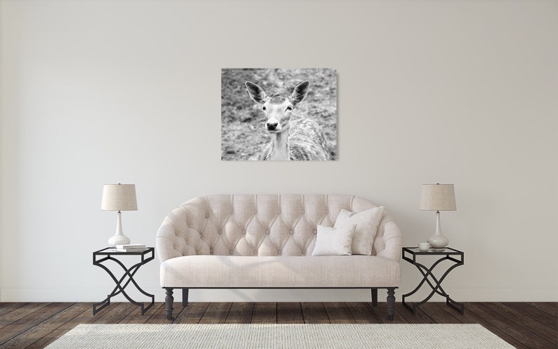 Wall Art Deer Photograph Woodland Animal Pictures Fine Art Print Black White Photo Country Decor Nature Prints