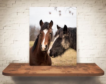 Horse Photograph - Fine Art Print - Color Photography - Equine Wall Art - Wall Decor - Pictures Horses - Farmhouse Decor - Rustic