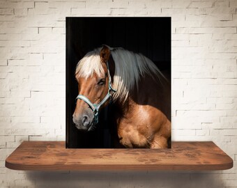 Photographie de cheval - Fine Art Print - Photographie couleur - Art mural équin - Décoration murale - Photos de chevaux - Décor de ferme - Chevaux