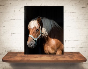 Fotografía de caballo - Impresión de bellas artes - Fotografía en color - Arte de pared equina - Decoración de pared - Imágenes de caballos - Decoración de granja - Caballos