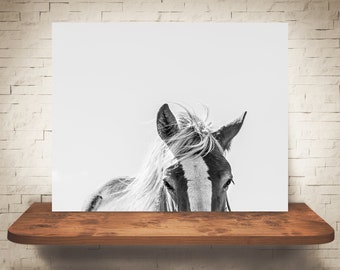 Horse Photograph - Fine Art Print - Black White Photography - Equine Wall Art Decor - Pictures Horses - Modern Farmhouse Decor