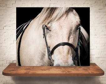 Fotografía de caballos - Impresión de bellas artes - Fotografía en color - Arte de pared equino - Decoración de pared - Imágenes de caballos - Decoración de granjas - Caballos