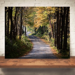 Country Road Photograph - Fine Art Print - Wall Decor - Farmhouse Decor - Fall Landscape - Wall Art - Country Decor - Back Roads - Trees