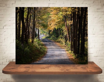 Country Road Photograph - Fine Art Print - Wall Decor - Farmhouse Decor - Fall Landscape - Wall Art - Country Decor - Back Roads - Trees