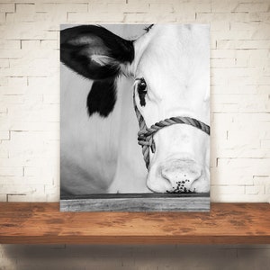 Cow Photograph - Fine Art Print - Black White Photography - Wall Art Decor -  Farm Pictures - Farmhouse Decor - Cows - Country - Rustic