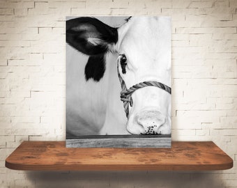 Cow Photograph - Fine Art Print - Black White Photography - Wall Art Decor -  Farm Pictures - Farmhouse Decor - Cows - Country - Rustic