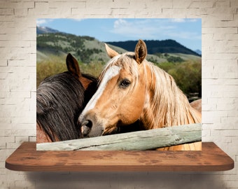 Photographie de cheval - Tirage d’art - Photographie couleur N&B - Art mural équin - Décoration murale - Photos de chevaux - Décor de ferme - Chevaux