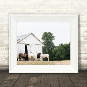 Horse Barn Photograph Fine Art Print Color Photo Wall Art Decor Farmhouse Decor Equine Photography Pictures of Horses image 2