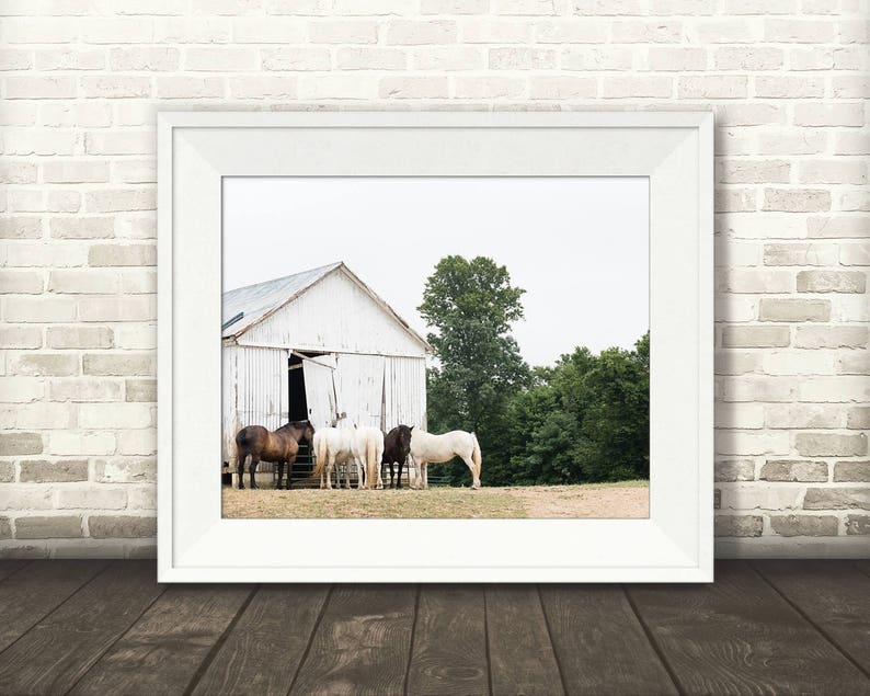 Horse Barn Photograph Fine Art Print Color Photo Wall Art Decor Farmhouse Decor Equine Photography Pictures of Horses image 2