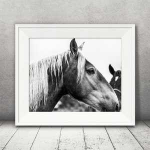 Horse Photograph Fine Art Print Black White Photography Equine Wall Art Wall Decor Pictures Horses Farmhouse Decor Modern image 2