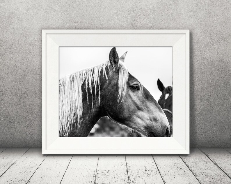 Horse Photograph Fine Art Print Black White Photography Equine Wall Art Wall Decor Pictures Horses Farmhouse Decor Modern image 2