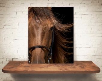Horse Photograph - Fine Art Print - Color Photography - Equine Wall Art - Wall Decor -  Horse Pictures - Farmhouse Decor - Horses