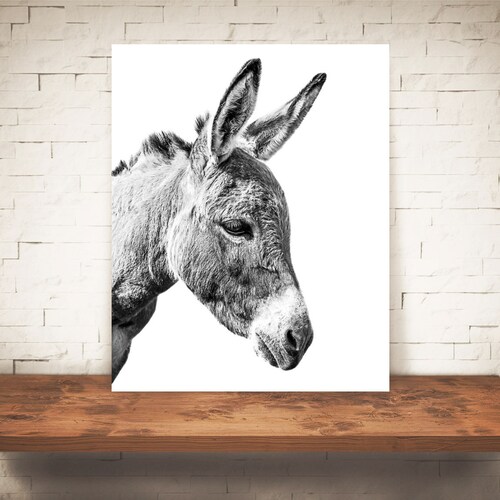 Donkey Art Print Farm Animal Wall Art Farmhouse Decor Etsy