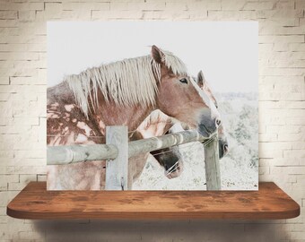Horse Photograph - Fine Art Print - Color Photography - Equine Wall Art - Wall Decor -  Horse Pictures - Farmhouse Decor - Horses
