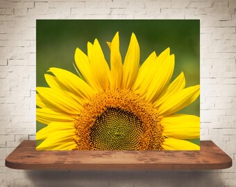 Fotografía de girasol amarillo - Impresión de bellas artes - Fotografía en color - Arte mural de otoño - Decoración de pared - Imágenes de girasoles - Decoración de granja