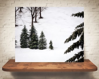 May include: A snowy landscape with a group of evergreen trees in the foreground and a single, smaller tree in the distance. The trees are all green and the snow is white.