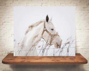 Fotografía de caballos - Impresión de bellas artes - Fotografía en color - Arte de pared equino - Decoración de paredes - Imágenes de caballos - Decoración de granjas - Caballos