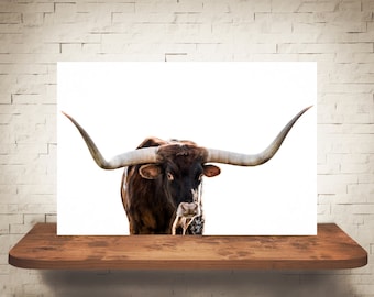 Longhorn Cattle Cow Photograph - Fine Art Print - Color Photo - Wall Art - Rustic - Pictures Cows - Farmhouse Decor - Modern