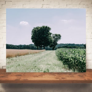 Country Farm Landscape Photograph - Fine Art Print - Color Photography - Wall Decor -  Farm Pictures - Farmhouse Decor - Country - Rustic