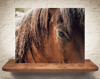 Horse Eye Photograph - Fine Art Print - Color Photography - Equine Wall Art - Wall Decor -  Horse Pictures - Farmhouse Decor - Horses