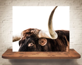 Longhorn Cow Photograph - Tirage d’art - Photographie couleur N&B - Décor d’art mural de ferme - Photos Vaches - Décor de ferme - Rustique