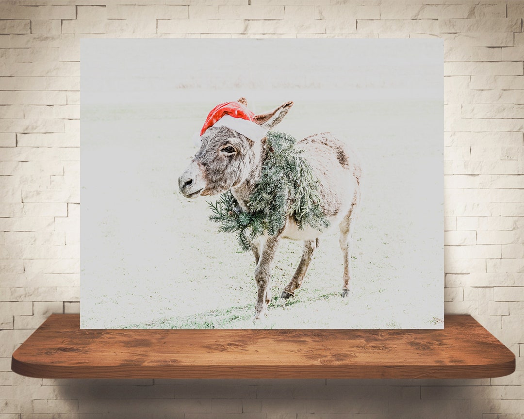 Donkey Christmas Photograph Color Photo Fine Art Print Wall Art