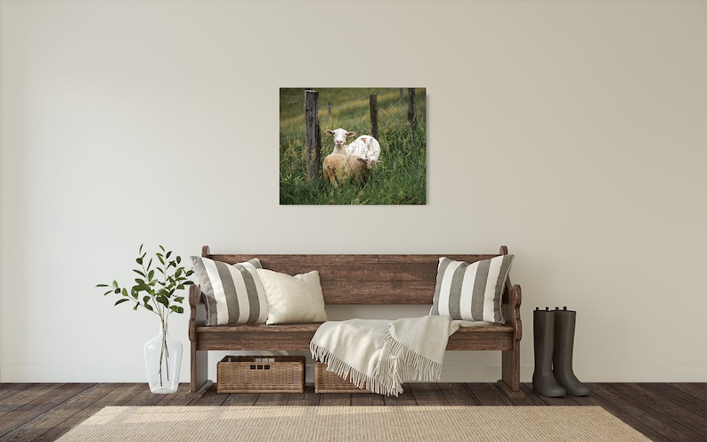 Sheep Photograph - Fine Art Print - Color Photo - Wall Art Decor ...