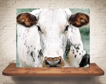 Fotografía de vaca - Impresión de bellas artes - Fotografía en color - Arte mural de granja - Decoración de pared - Imágenes de vacas - Decoración de granja - Rústico