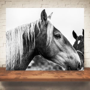 Horse Photograph Fine Art Print Black White Photography Equine Wall Art Wall Decor Pictures Horses Farmhouse Decor Modern image 1