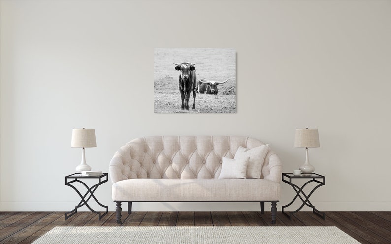 Wall Art Black White Photo Longhorn Cattle Cow Photograph Pictures of Cows Farmhouse Decor Fine Art Print Rustic Decor