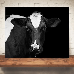 Cow Photograph - Fine Art Print - Black White Photography - Wall Art - Home Decor - Wall Decor -  Farm Pictures - Farmhouse Decor - Cows