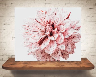 Dahlia Flower Photograph - Fine Art Print - Color Photography - Pink Wall Art - Wall Decor - Pictures Flowers - Farmhouse Decor - Country