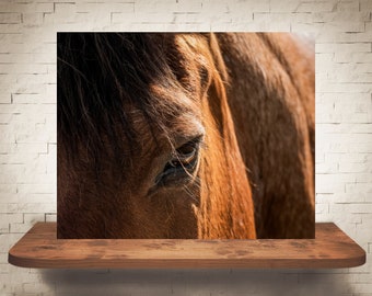 Horse Eye Photograph - Fine Art Print - Color Photography - Equine Wall Art - Wall Decor -  Horse Pictures - Farmhouse Decor - Horses