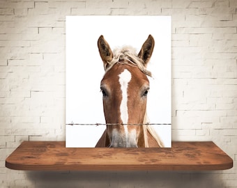 Horse Photograph - Fine Art Print - Color Photography - Equine Wall Art - Wall Decor - Pictures Horses - Farmhouse Decor - Rustic