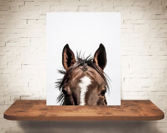 Fotografía de caballo - Impresión de bellas artes - Fotografía en color - Arte de pared equina - Decoración de pared - Imágenes de caballos - Decoración de granja - Caballos