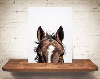 Horse Photograph - Fine Art Print - Color Photography - Equine Wall Art - Wall Decor -  Horse Pictures - Farmhouse Decor - Horses