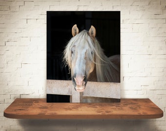 Horse Photograph - Fine Art Print - Color Photography - Equine Wall Art - Wall Decor -  Horse Pictures - Farmhouse Decor - Horses