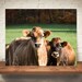 see more listings in the Cow Prints section