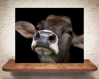 Fotografía de vaca parda suiza - Impresión de bellas artes - Fotografía en color - Arte mural de granja - Decoración de pared - Imágenes de vacas - Decoración de granja - Rústico